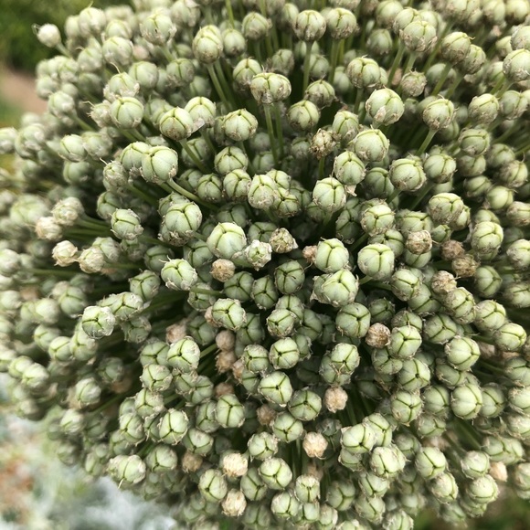 Meet your Posher, Sonya - Picture 12 of 14